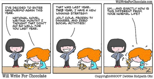 nanowrimo cartoon