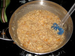 oatmeal