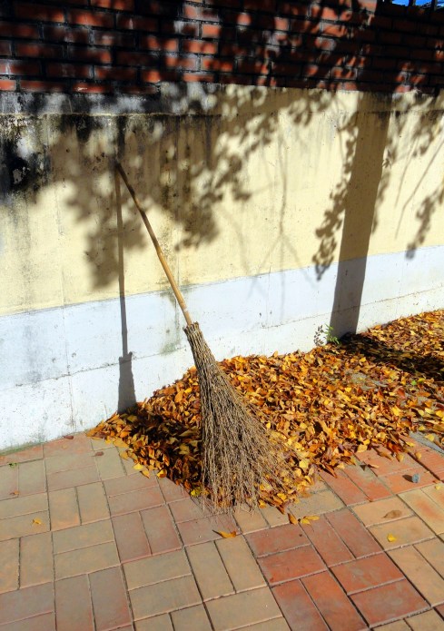 taken in Soyang, Korea