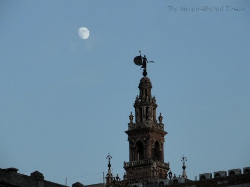 taken in Sevilla, Spain