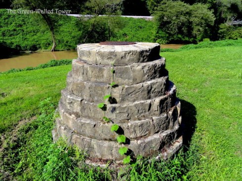Much Ado About Kudzu