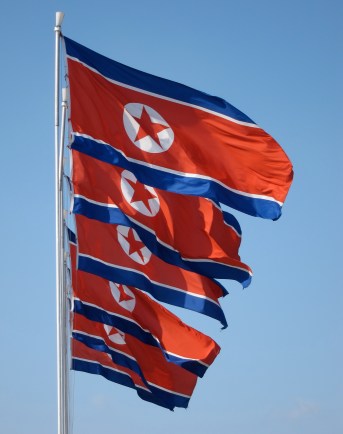 North Korean flags