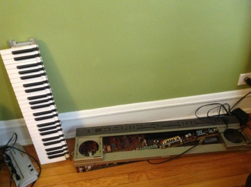 copyright Rochelle Wisoff-Fields