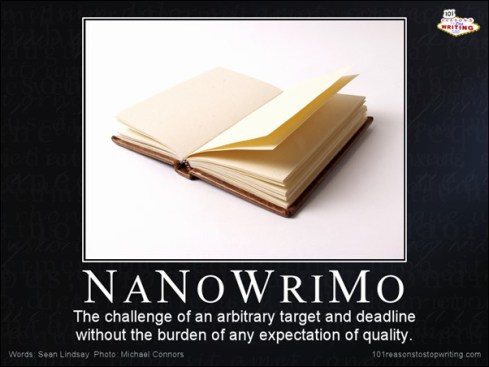 I get the feeling this guy doesn't like Nanowrimo