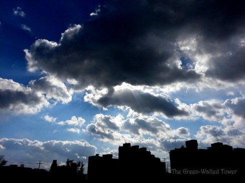 In the city in Korea, it's hard to get away from the outline of highrise apartments.