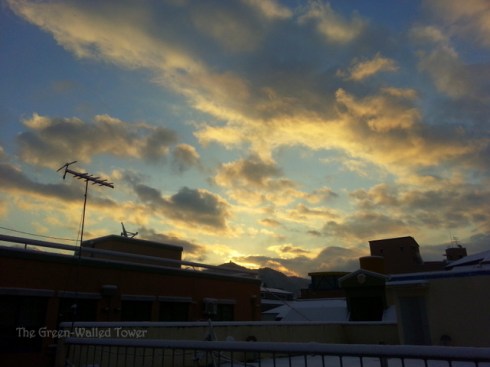 Sunrise, from my kitchen window.