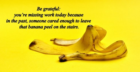 banana peel