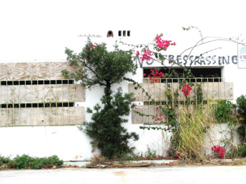 copyright Randy Mazie