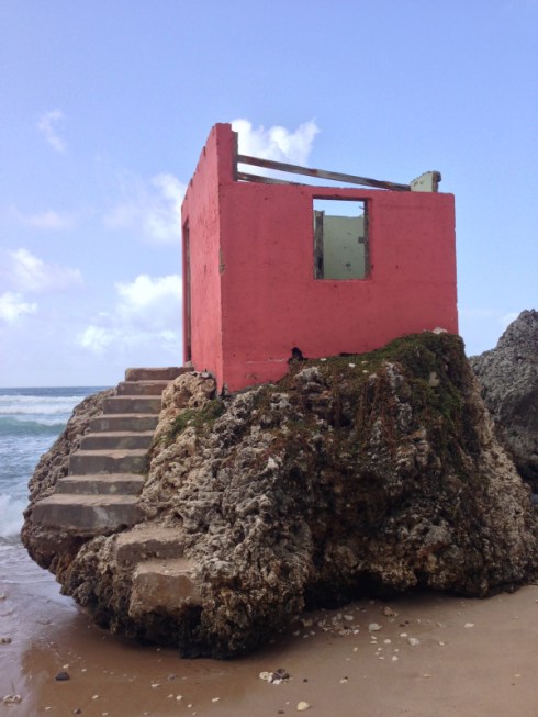 copyright Dawn Q. Landau