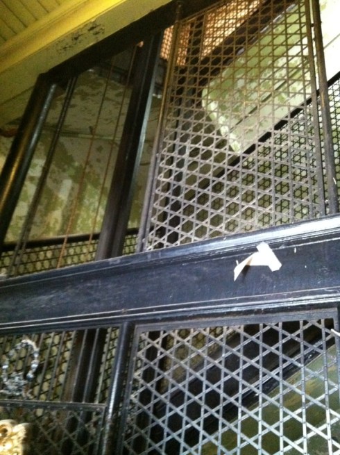 copyright Rochelle Wisoff-Fields