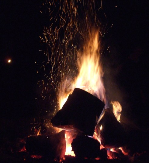 Copyright Rochelle Wisoff-Fields