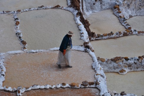 copyright Dawn Landau