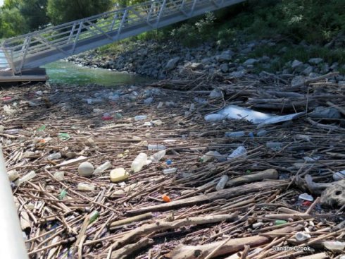 copyright Sandra Crook