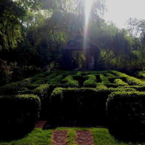 copyright Melanie Greenwood