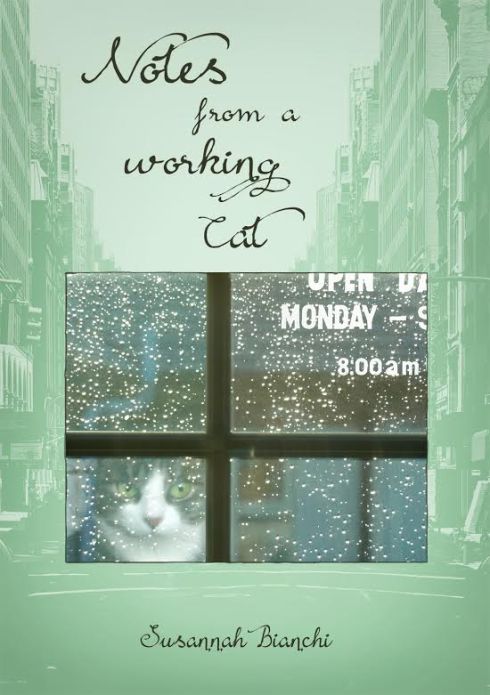 Notes from a Working Cat