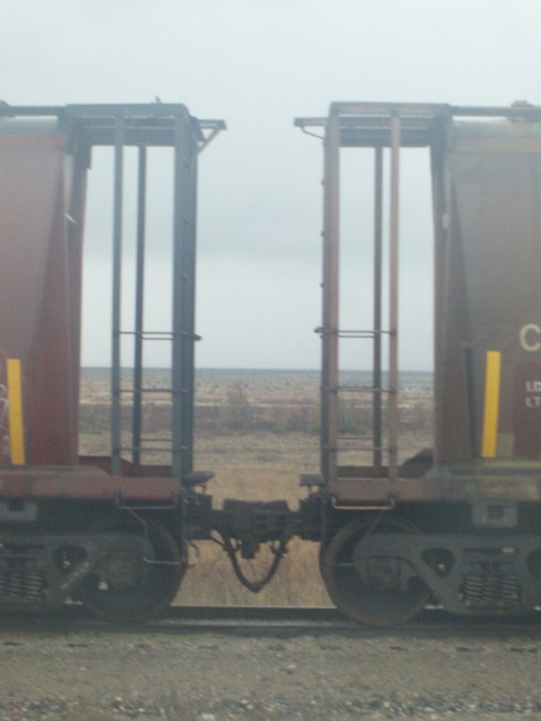 copyright Jennifer Pendergast