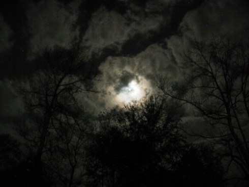 copyright Madison Woods