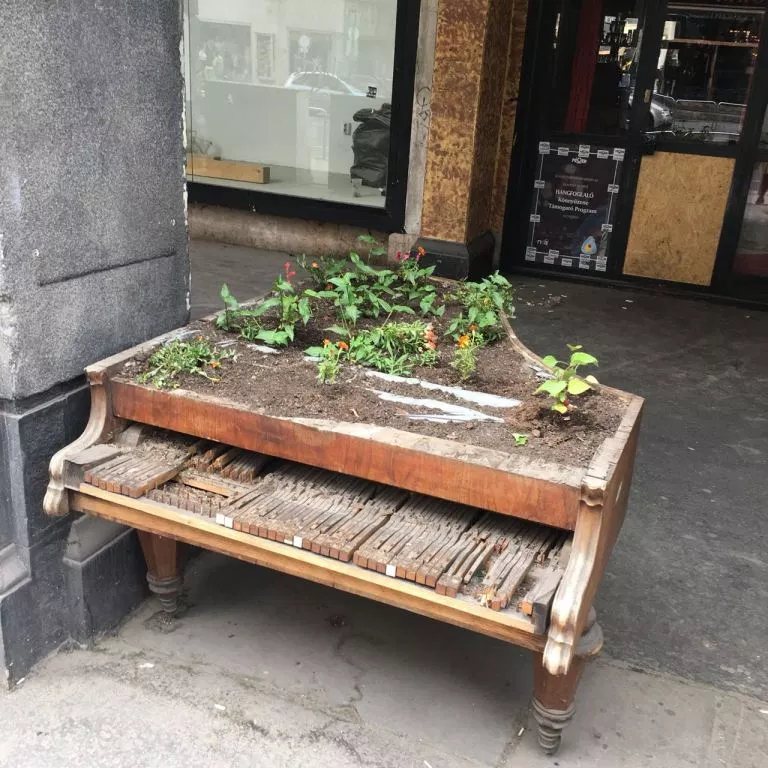 FF199 Anshu Bhojnagarwala