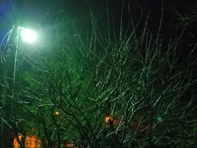 FF 201 Ronda Del Boccio